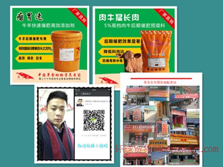 4、 Anglo-Meier 肉牛專用預(yù)混料：什么飼料對(duì)牛有益