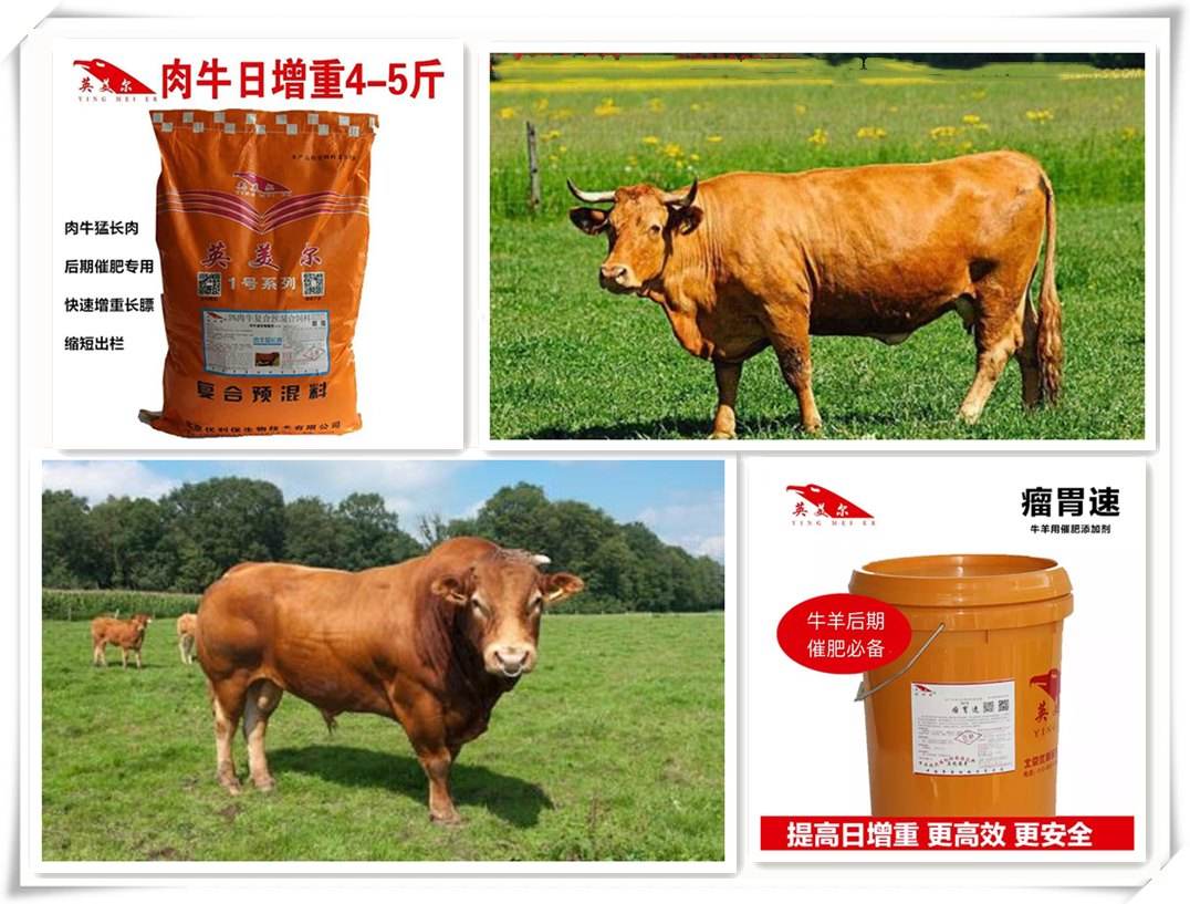 4、中國(guó)最好的牛羊飼料是哪家