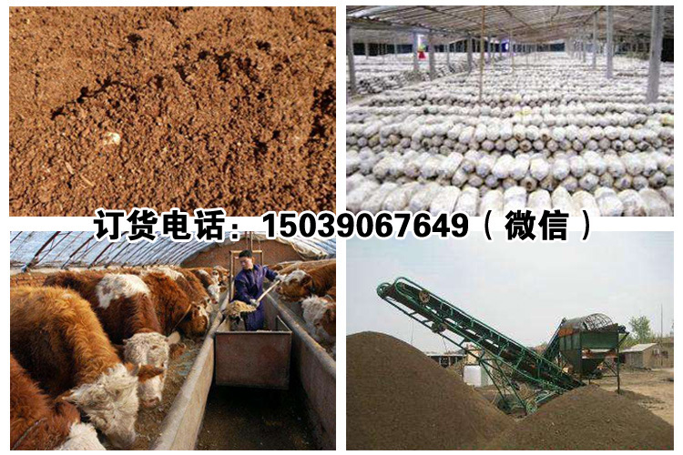 4．發(fā)酵牛飼料可以喂牛嗎？ 
