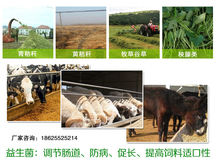 4、中國(guó)十大名牌牛飼料
