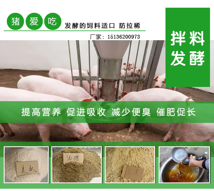2、豬飼料可以喂牛嗎?