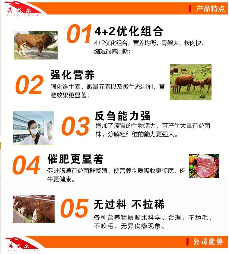 2、一頭奶牛一年應(yīng)該準(zhǔn)備多少飼料？喂食時如何混合飼料？ 