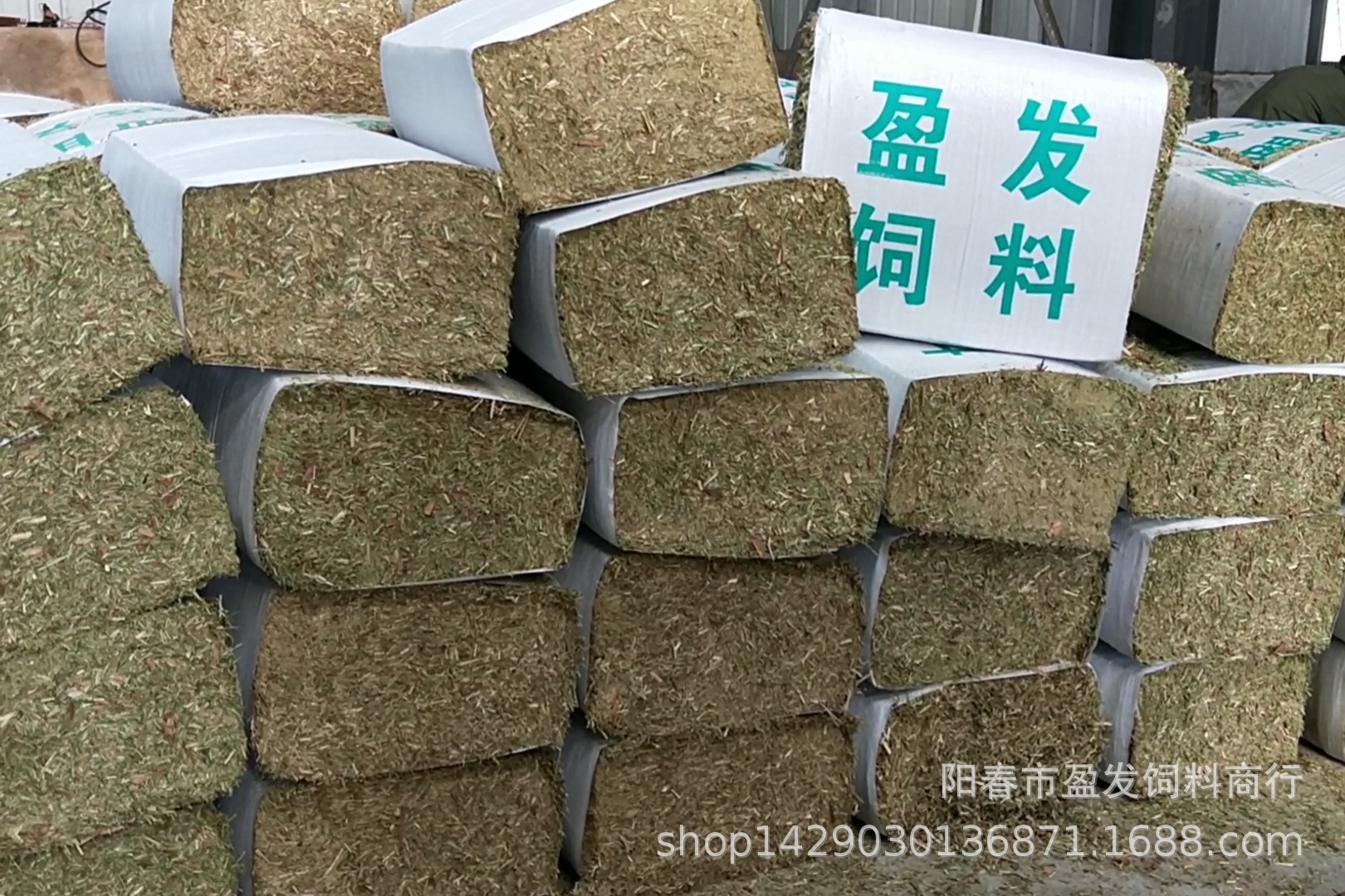 2、全國牛飼料銷售排名