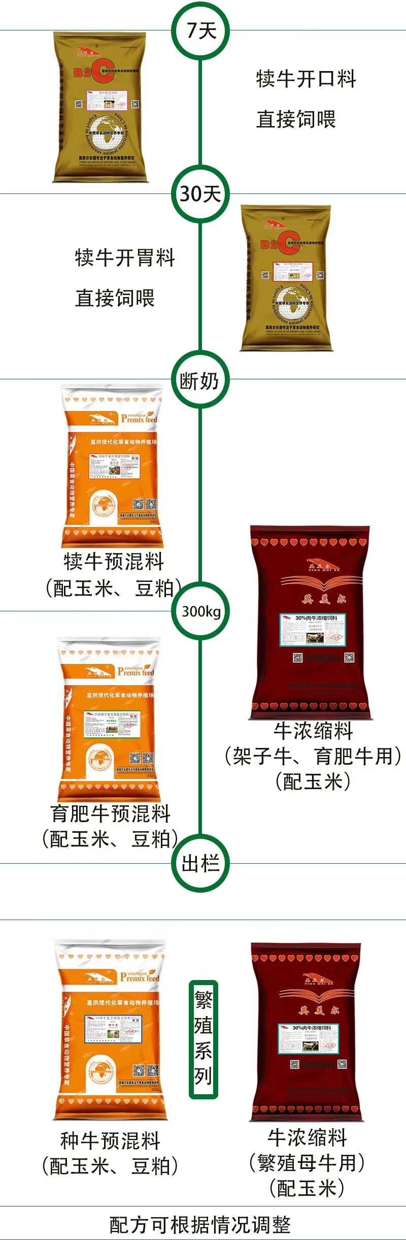 2、育肥奶牛吃農業(yè)收縮飼料是怎么回事？ 