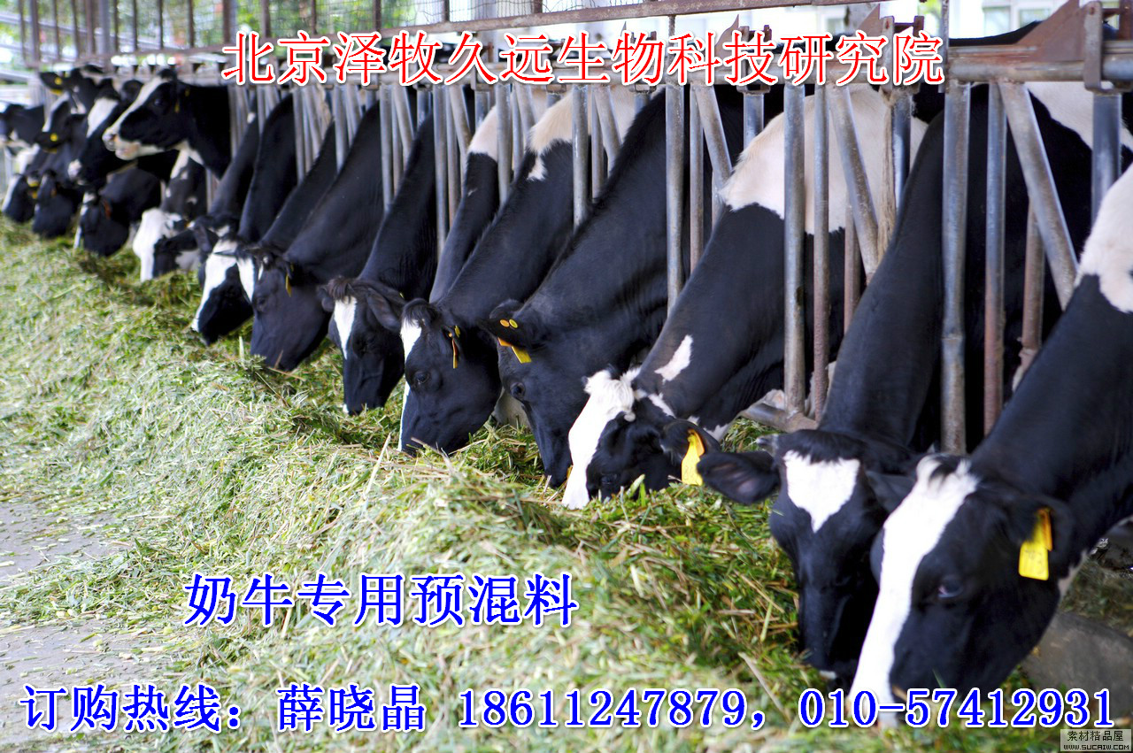 2、奶牛飼料廠有哪些？