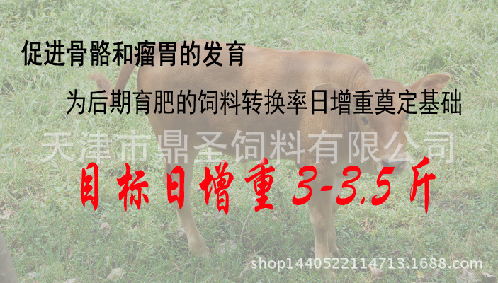 2、育肥牛每天需要多少飼料/肉牛每天吃多少飼料
