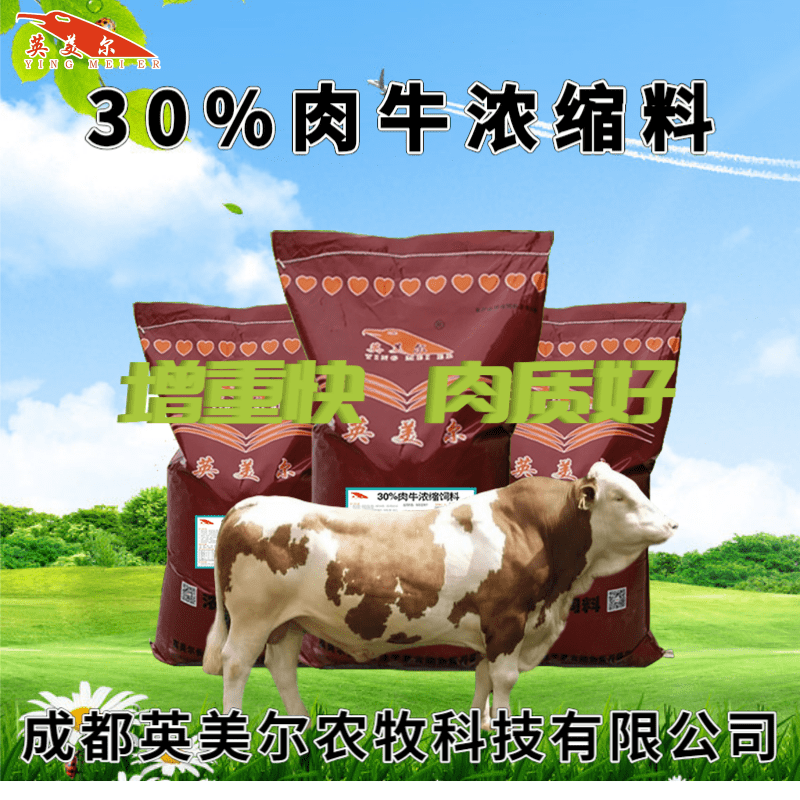 2、養(yǎng)牛用什么飼料好？育肥牛飼料清單